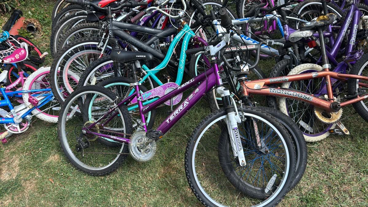 A row of bicycles including a purple mountain bike parked in the grass.